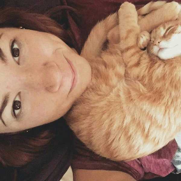 12 Reasons Why I Am A Crazy Cat Lady And Am Okay With It