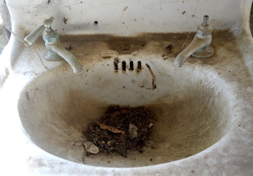 It Came From Beyond The Sink Drain