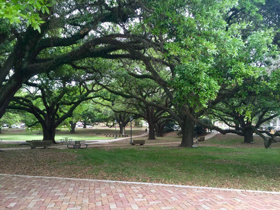 3 Easy End-of-Semester Goals