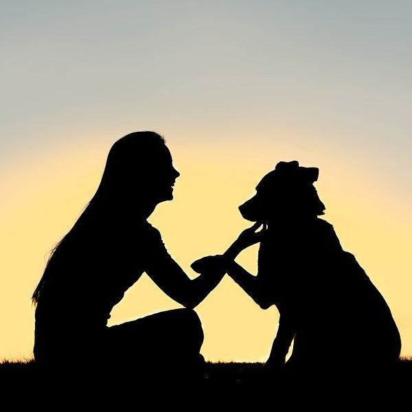 A Thank You Letter To My Furry Friend