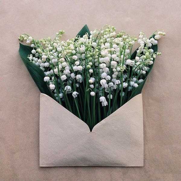 A Letter To Who I Used To Be