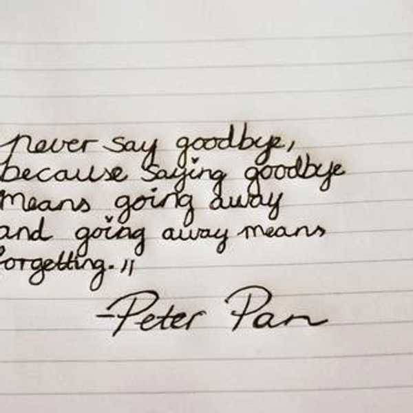 It's Never Goodbye
