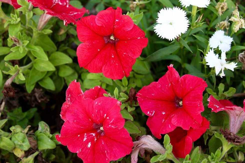 Why Spring Is The Worst Season