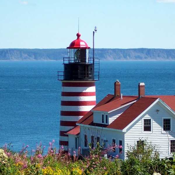 The 11 Stages Of A New England Spring