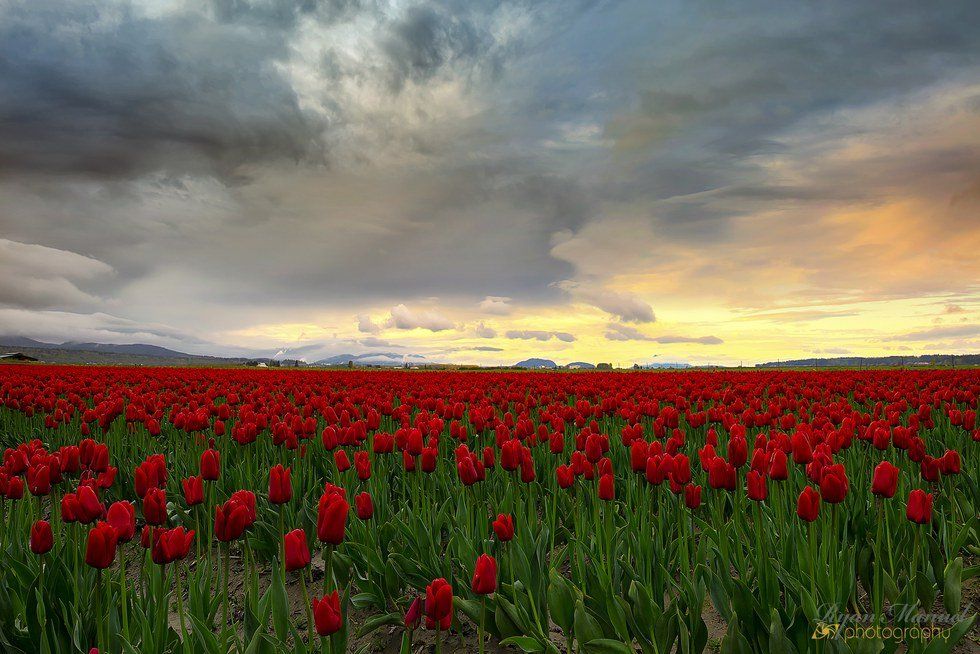 April: A College Student's Hell