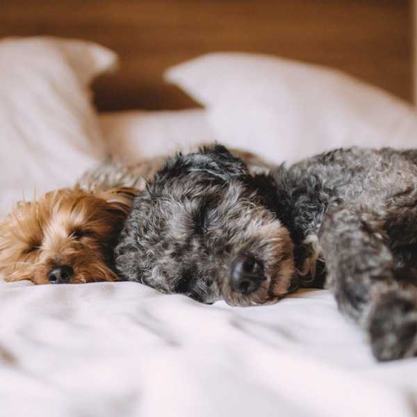 7 Things You Understand If You Get Sick A Lot