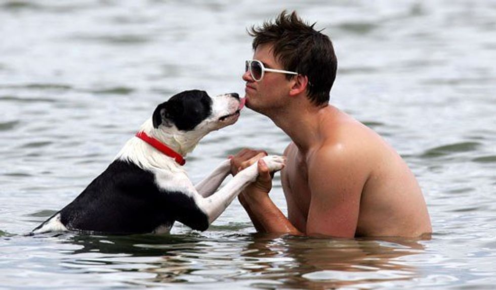 10 Reasons Why Dog People Are Better People, And Why You Should be One