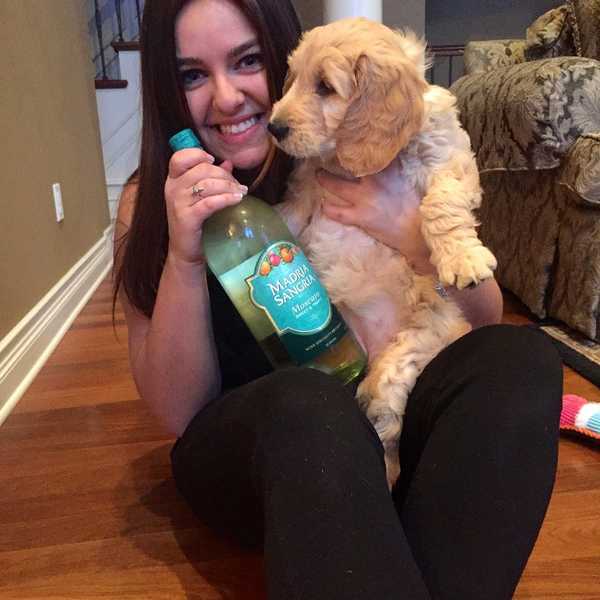 13 Reasons To Love Dogs More Than Men
