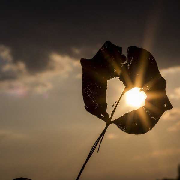 When Did We Become Such A Cold-Hearted Generation?