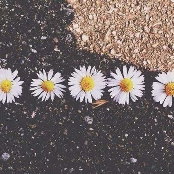 12 Things Single People Are Tired Of Hearing