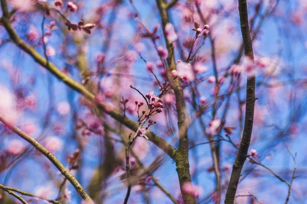 8 Signs That Spring Semester is Almost Over