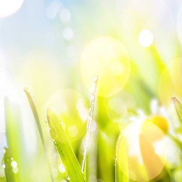 Tips For Spring Cleaning