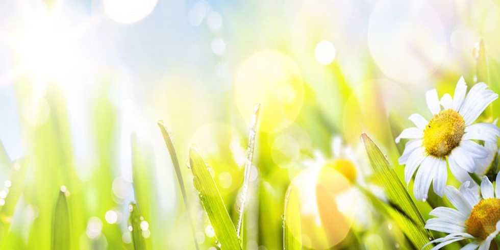 Tips For Spring Cleaning