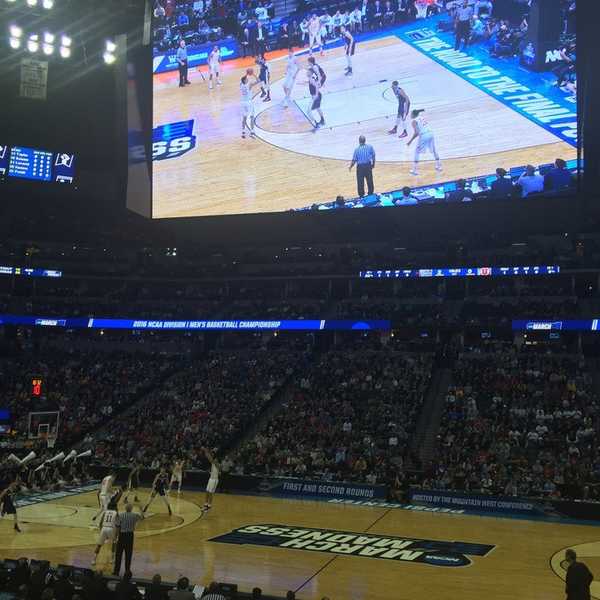 View From The Stands