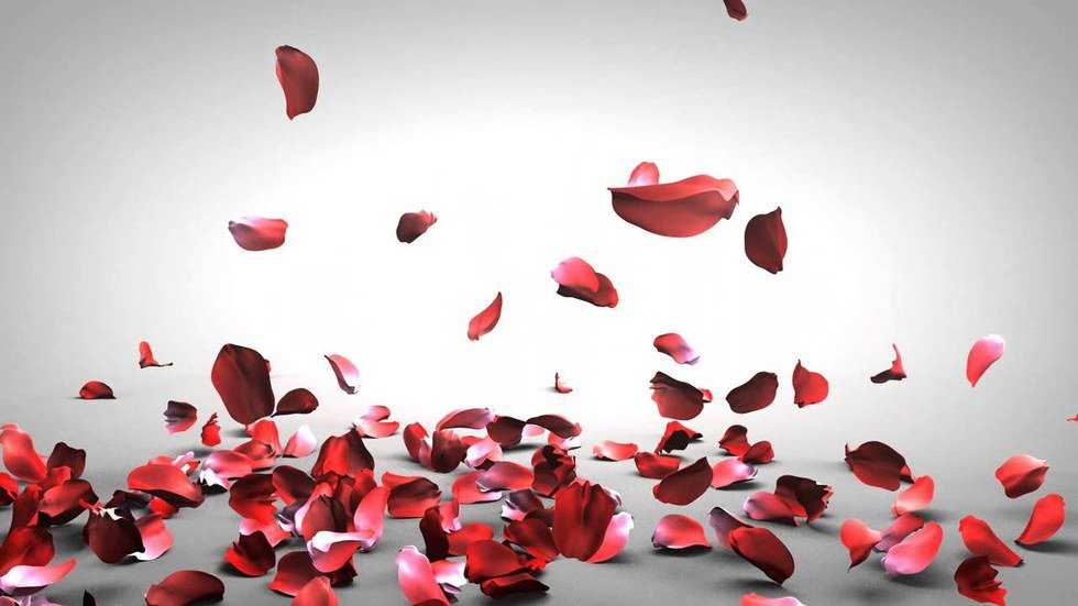 13 Thoughts You Will Have During The Bachelor