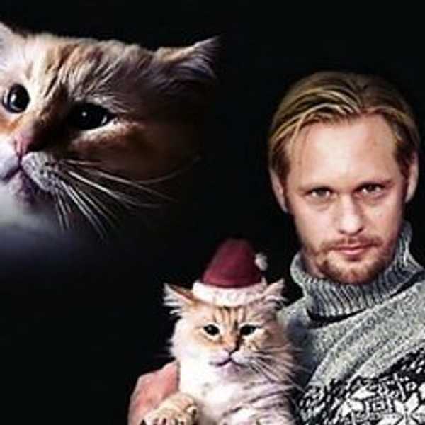 11 Signs You Are a Cat Lover