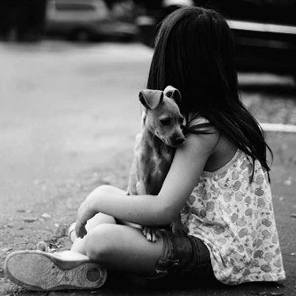 An Open Letter to My Dog