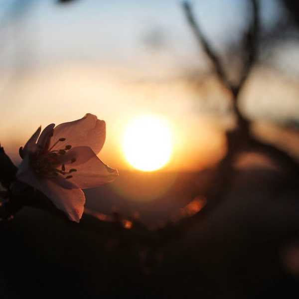 The Beauty In Failure