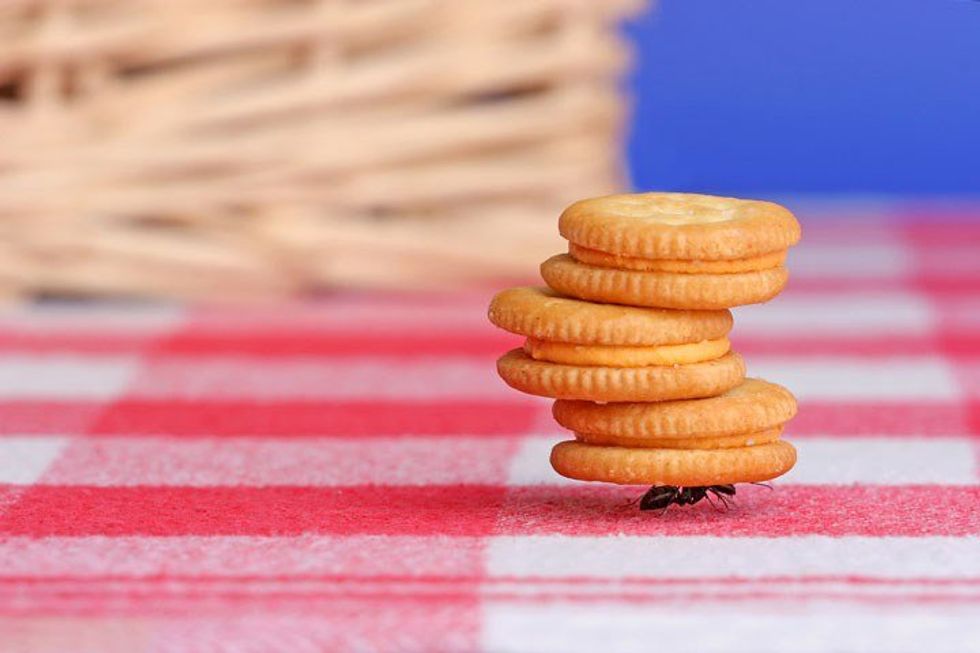 Are You An Overachiever Or High Performer?