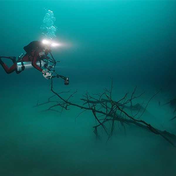 4 Crazy Discoveries We've Made In Our Oceans