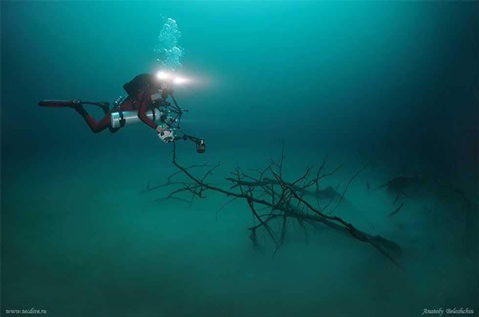 4 Crazy Discoveries We've Made In Our Oceans