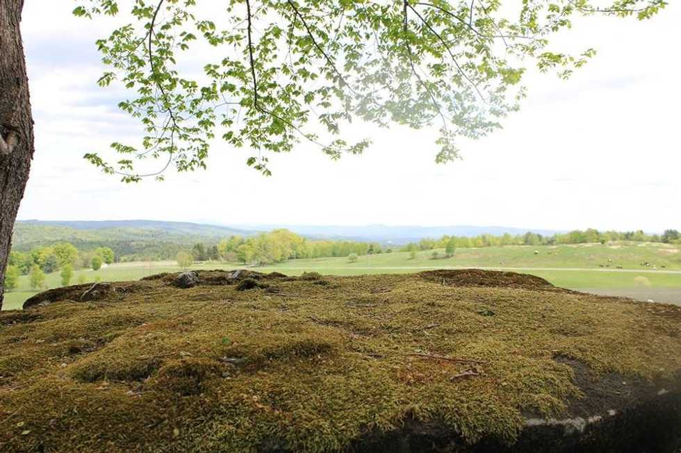 Why You Should Try To Get Outside Every Day