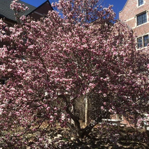 10 Reasons Why I Love Spring