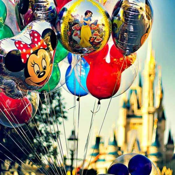 Why I Applied To The Disney College Program