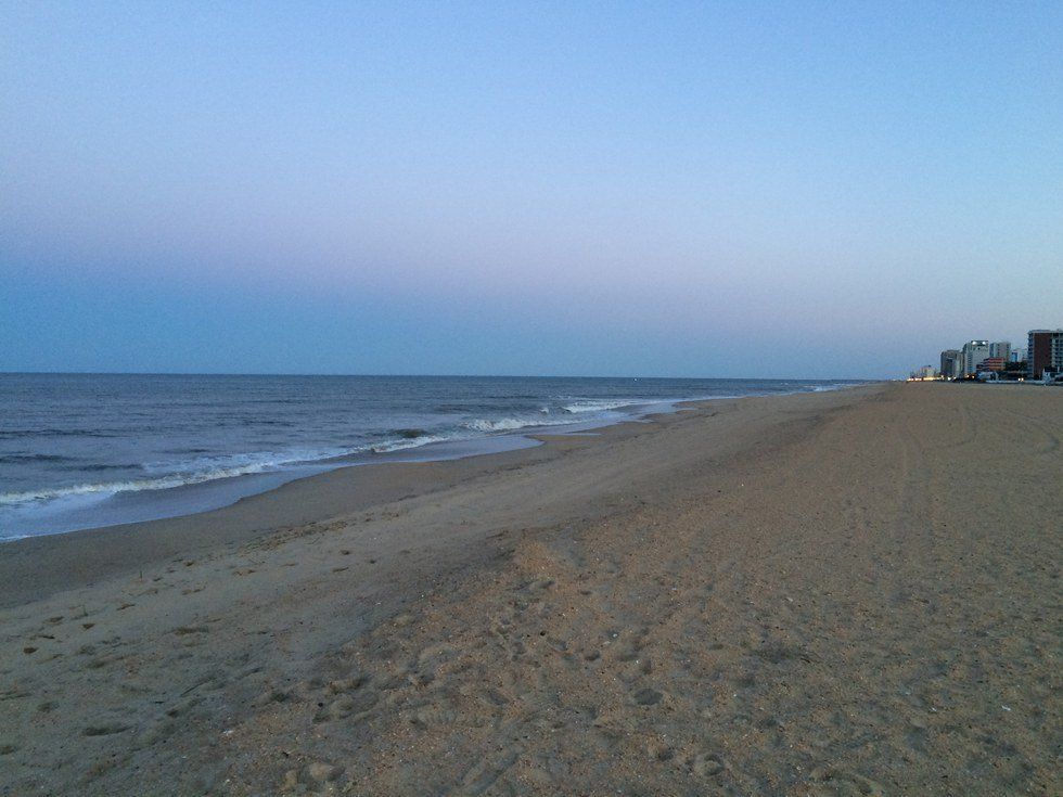 The Cure Found In The Ocean