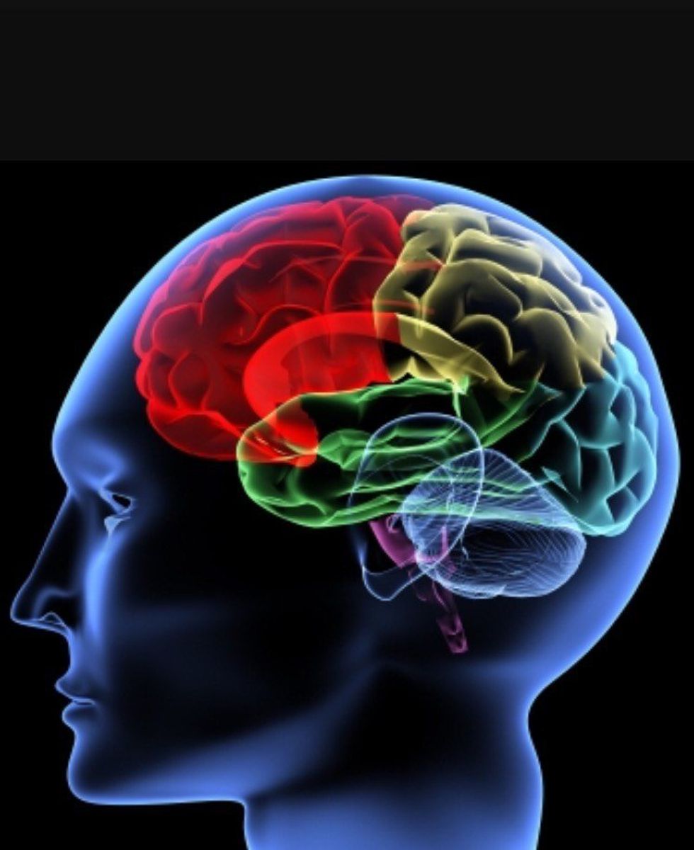 14 Struggles Only Psychology Majors Can Relate To