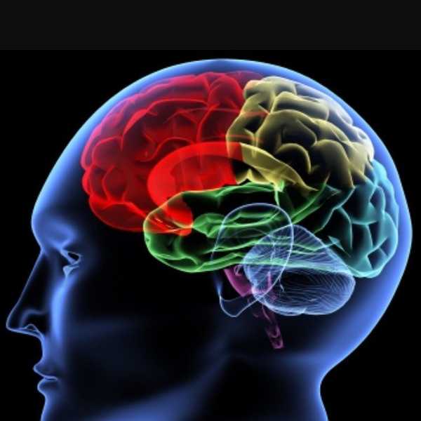 14 Struggles Only Psychology Majors Can Relate To