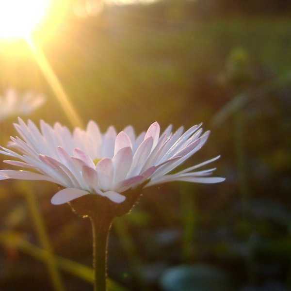 Our Biggest Problem: We Take Things For Granted