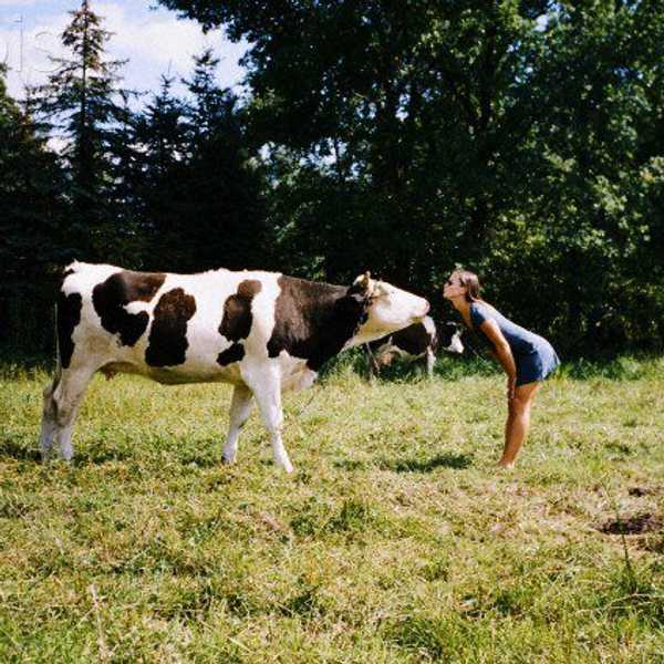 Why I Went Vegan