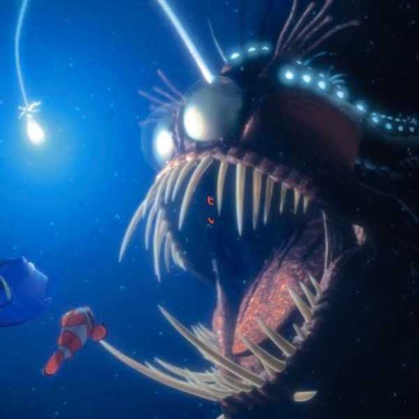 Why Aren't You Afraid of the Ocean?