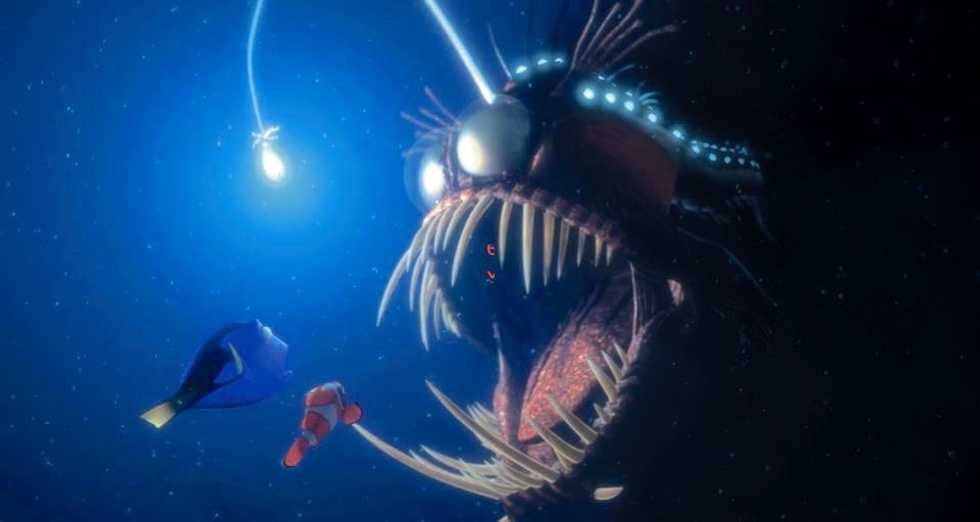 Why Aren't You Afraid of the Ocean?