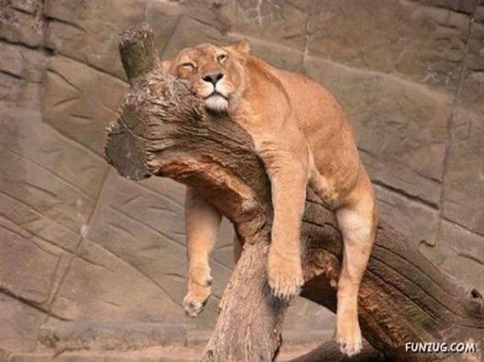 How I Spent My Saturday (As Told By 'New Girl')