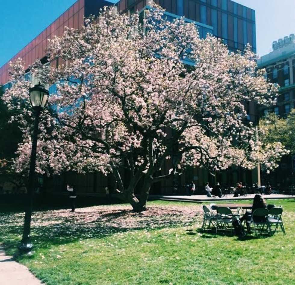 On the Slump Between Spring Break's End and Summer's Start | The ...