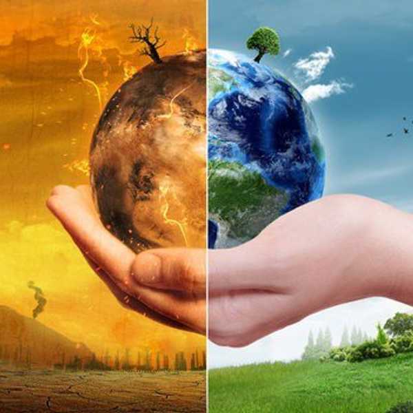 My Beef with Global Warming