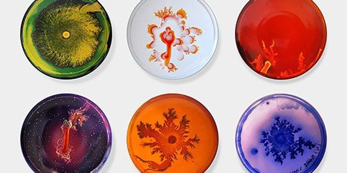 9 Artists Using Science As Inspiration | The Odyssey Online