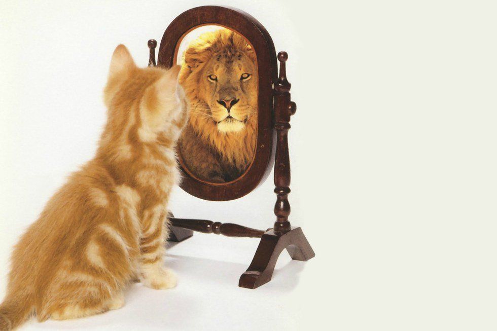 Learning To Love Yourself