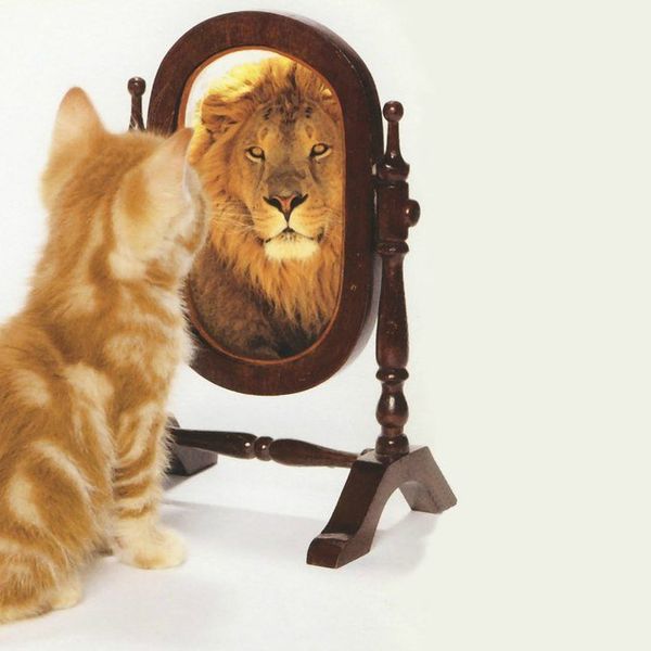 Learning To Love Yourself