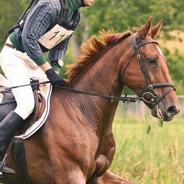 The Horse Girl Explained