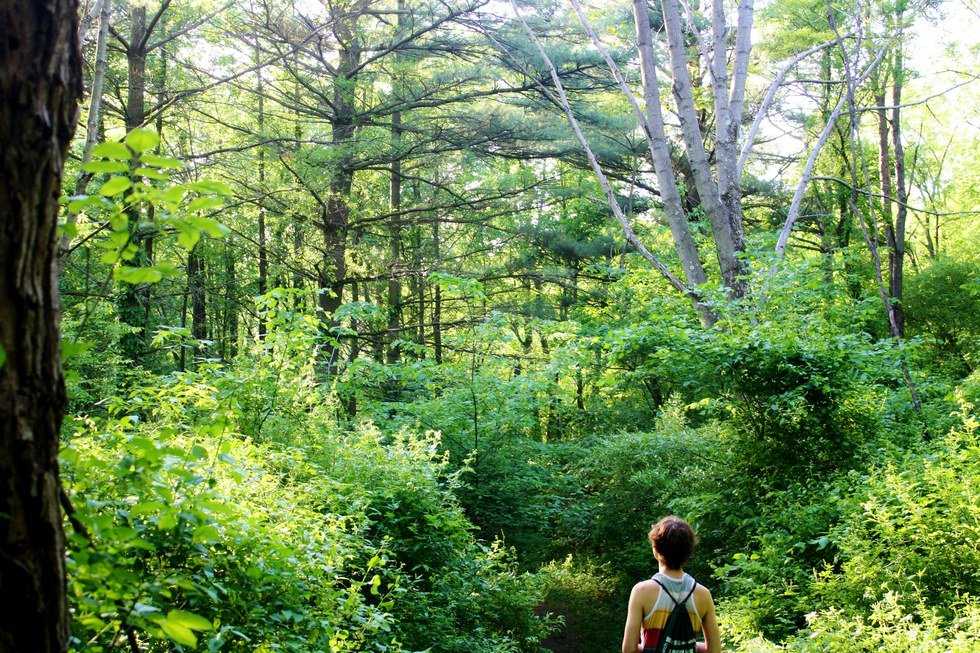 Between The World And Climate Change