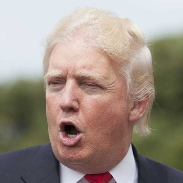 An Open Letter To Donald Trump
