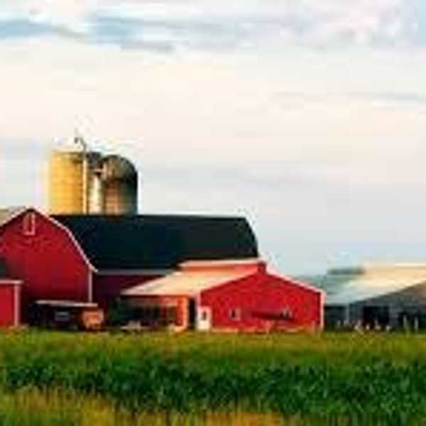 11 Life Lessons I've Learned From Living On A Farm