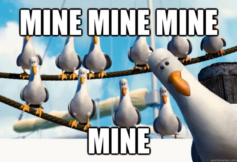 A Letter to the SUNY Potsdam Seagulls