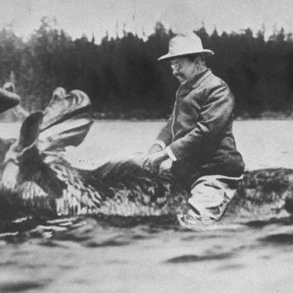 Why I TheADORE Roosevelt