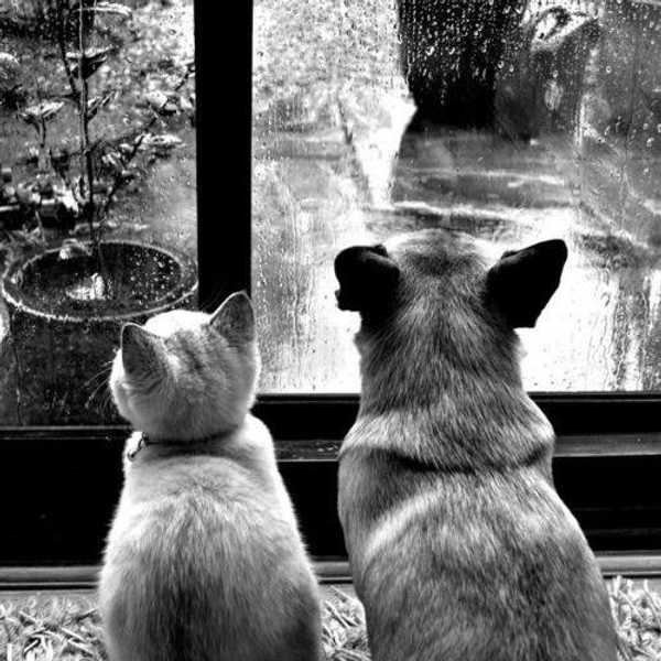 6 Ways To Brighten A Rainy Day