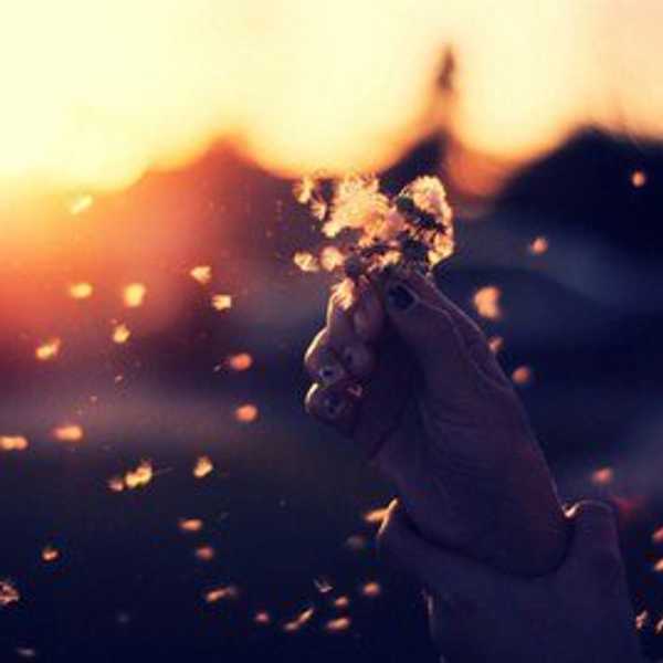 An Open Letter To Someone I Have To Let Go