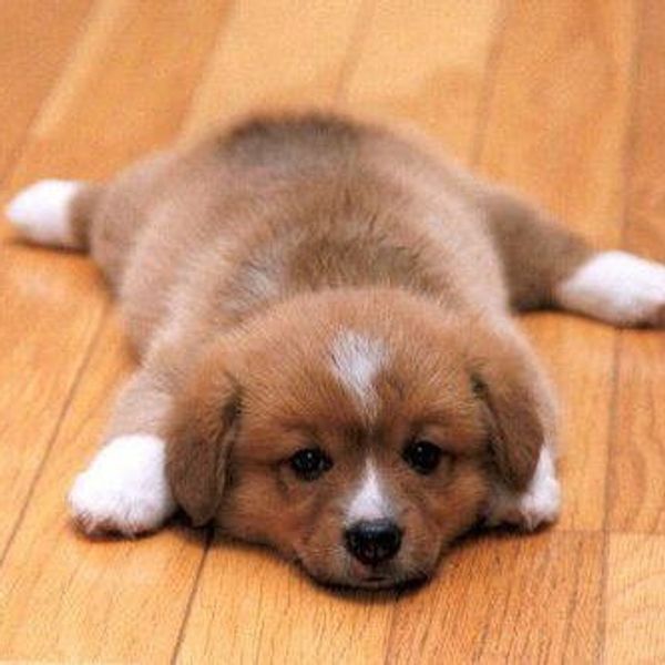 11 Thoughts On How You Can Make Great Strides Today